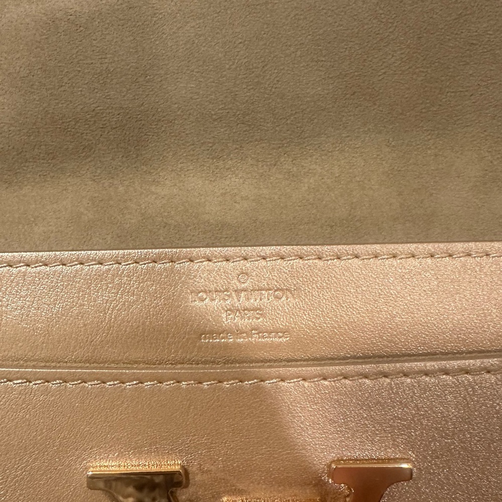 Louis Vuitton Metallic Gold Logo Clutch - Picture 10 of 14